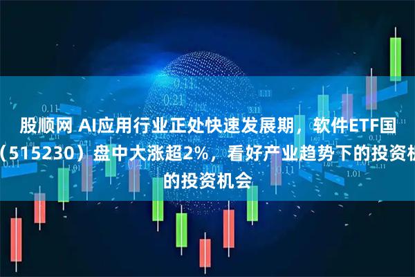 股顺网 AI应用行业正处快速发展期,软件ETF国泰(515230)盘中大涨超2%,看好产业趋势下的投资机会