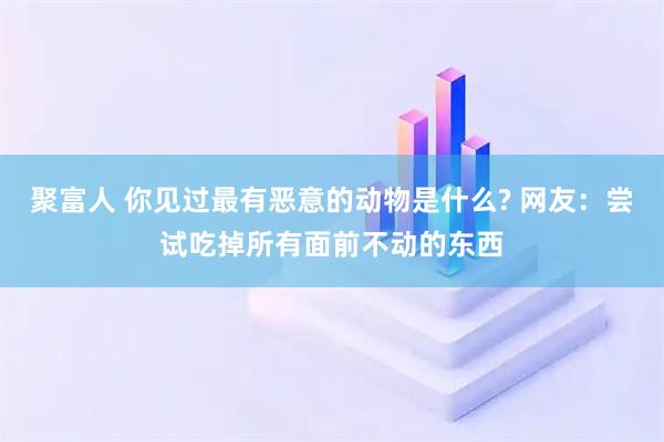 聚富人 你见过最有恶意的动物是什么? 网友：尝试吃掉所有面前不动的东西