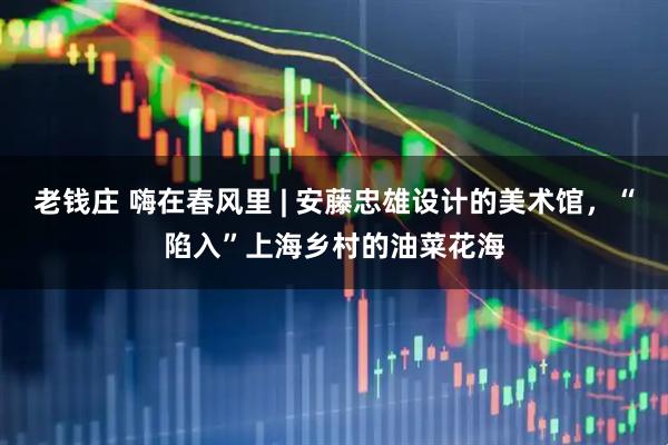 老钱庄 嗨在春风里 | 安藤忠雄设计的美术馆，“陷入”上海乡村的油菜花海